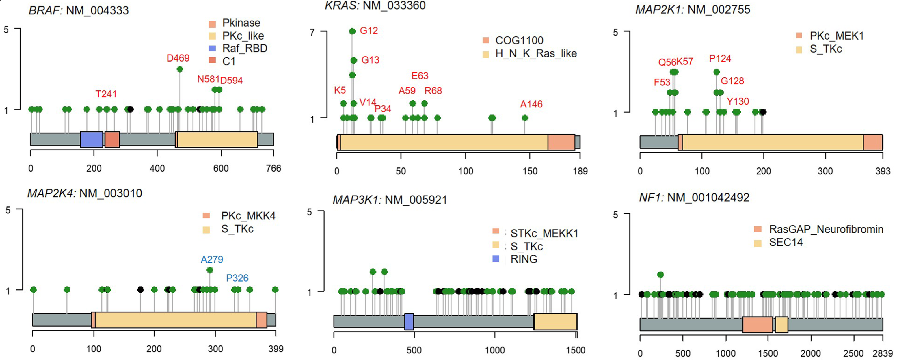 Figure 2. KRAS-MAPK pathway mutations in IM.